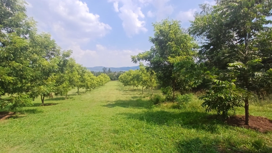 Commercial Property for Sale in Remhoogte AH North West